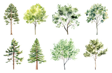 Obraz premium PNG Watercolor trees collection illustration, element set on transparent background