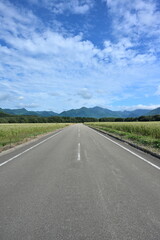 猿楽台地のそば畑とまっすぐな道の風景（福島県下郷町）
