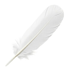 Obraz premium Delicate white feather with transparent background for artistic projects