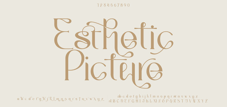 Luxury sans serif alphabet letters font and number. Classic Lettering Minimal Fashion Designs. Typography decorative wedding fonts and logo. vector illustration.