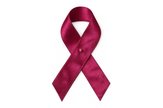 Magenta ribbon pinned, representing awareness, support, charity, and health campaigns, isolated on a transparent background