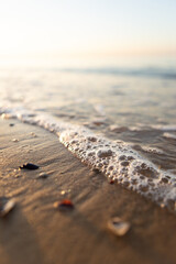 Soft golden sunlight illuminates gentle sea waves washing over the sandy shore, capturing peaceful beach textures and tiny shells in a calm coastal scene.