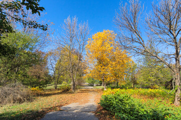 Landscape of South Park in city of Sofia, Bulgaria