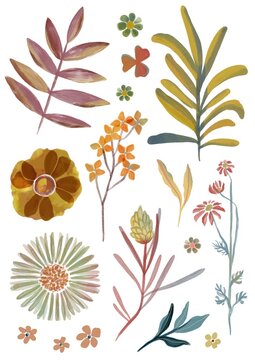 VEGETAL ABSTRACT SET