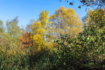 Landscape of South Park in city of Sofia, Bulgaria