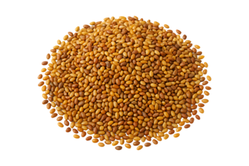 Golden Alfalfa Seeds Arranged in Circular Pile for Planting Isolated on a Transparent Background