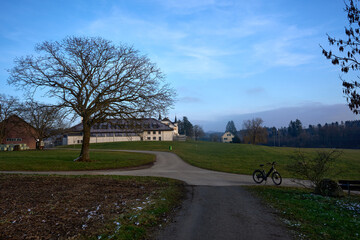 A quiet winter scene in Uitikon: a bare tree beside a winding path, a lone bicycle, peaceful Swiss countryside.