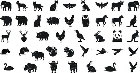 Obraz premium Diverse animal silhouettes collection wildlife birds and insects in black
