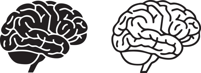Two stylized brain silhouettes showing intricate detail isolated on transparent background