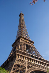 Paris, France - Eiffel Tower in the Spring