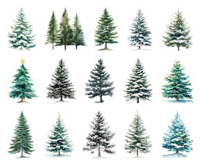 Obraz premium Variety of snow-covered evergreen trees.