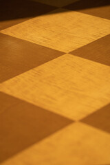 Morning sunlight on a board room table. 