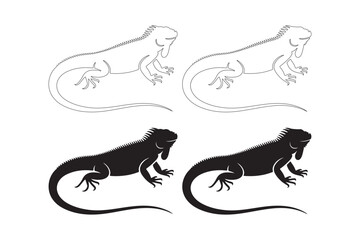 Two stylized iguana silhouettes and two line art iguanas