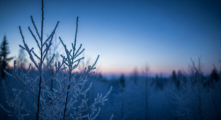 Obraz premium Foreground of ice-covered tree branches, background of blurred forest at dusk, representing cold winter and peaceful nature, for winter scene or background