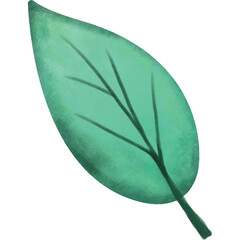 Single Hand Drawn Watercolor Style Green Leaf with Stem on Transparent Background Natural Autumn Leaf with Veins Artistic Botanical Illustration