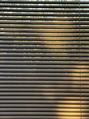 Die ersten Strahlen der Morgensonne scheinen durch die Jalousien