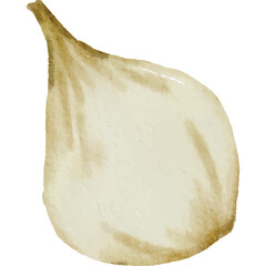 Single watercolor illustration of a peeled garlic clove with a textured paper background and delicate shading