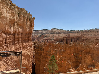 Wall Street of Bryce Canyon National Park Utah Photo