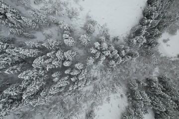 Wintery Snowscapes in Provo Canyon, Utah. Snowy tress, steep cliffs and rocky canyons.