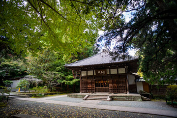 鎌倉251112　浄智寺9