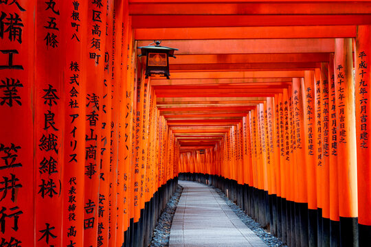 Fushimi Inari Taisha red Torii gates in Kyoto, Japan