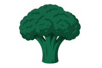 Broccoli floret illustration presenting a healthy green vegetable often used in diet plans, with a transparent background
