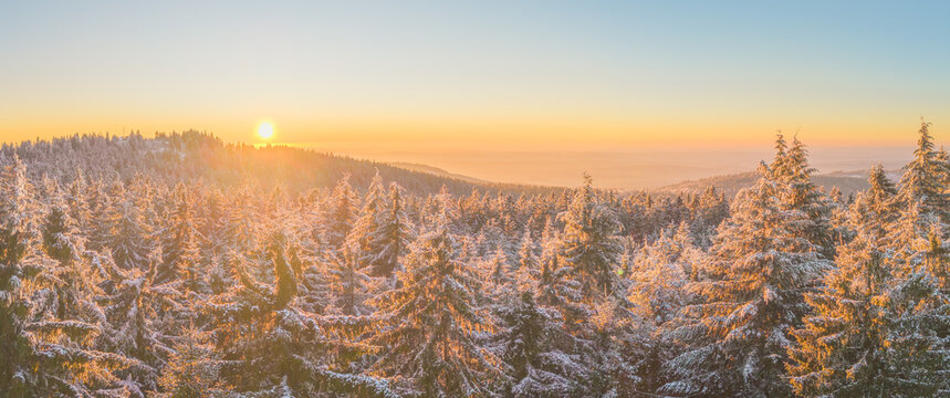 Sunset over the snow capped forest in the mountains