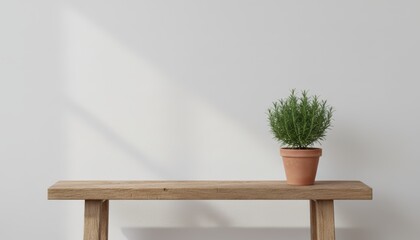 Indoor plant styling minimalist home decor modern table design bright space