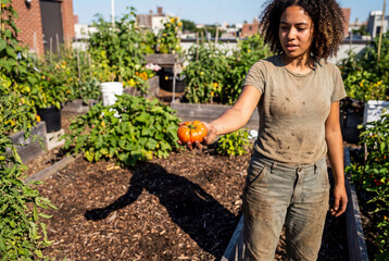 Urban Harvest - Sustainable Food Systems