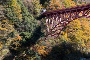 黒部峡谷鉄道トロッコ電車の新山彦橋の橋梁