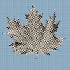Vintage halftone maple leaf illustration created with black dots on a textured background. Retro botanical vector design element suitable for posters, prints, stickers, and modern graphic artwork.