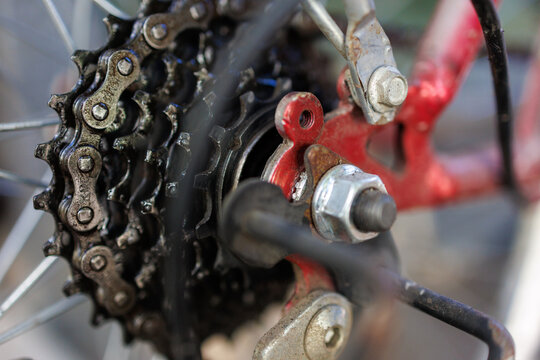 Close-up of a bicycle cassette and chain during DIY bike maintenance and repair