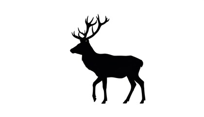 Obraz premium Black silhouette of a majestic stag with large antlers on white.