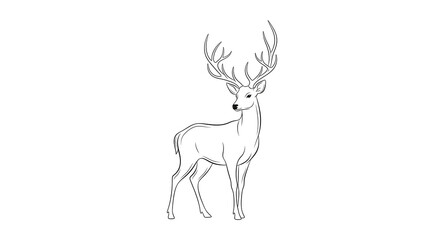 Obraz premium A detailed line art drawing of a majestic deer with large antlers standing gracefully.