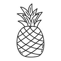 Pineapple fruit line art, Simple pineapple fruit line art icon illustration