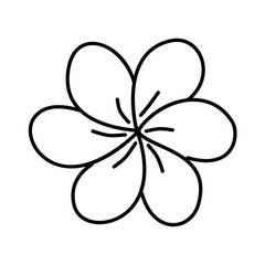 Tropical flower outline