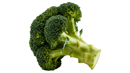 A single fresh green broccoli floret with a thick stem, isolated on transparent background, perfect for healthy eating and cooking concepts