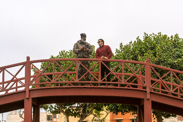 Two men birdwatching and enjoying nature in wetland