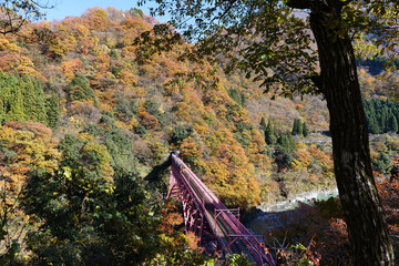 宇奈月温泉やまびこ展望台から黒部峡谷鉄道トロッコ電車の新山彦橋の橋梁