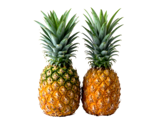 Two ripe, textured fruits with leafy crowns