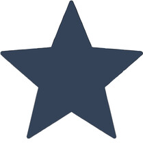 Star Icon Flat Vector
