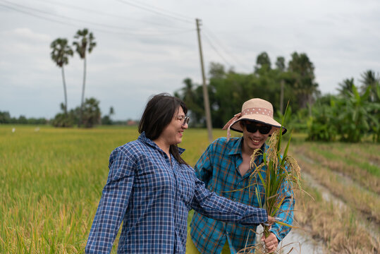 Two LGBTQ friends walking through a rice field in Thailand, casually dressed in plaid shirts. They share a moment of connection while exploring the rice crop, surrounded by the lush greenery