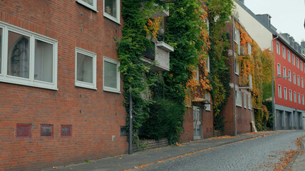 Charming street with brick buildings and overgrown greenery in a quiet neighborhood