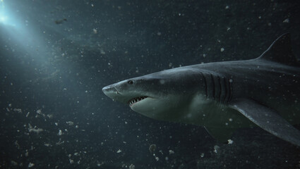 Powerful shark swimming gracefully in ocean depths with sunlight piercing through, an exciting adventure in marine wildlife, a stunning underwater scene