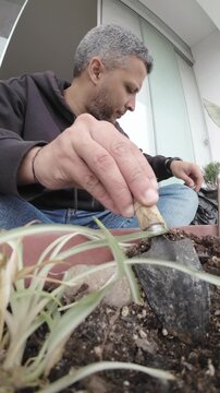 Man Repotting Houseplant with Fresh Soil