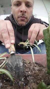 Man Repotting Houseplant with Fresh Soil