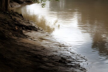 Transition Point Where Murky Water Meets Thick Settled Mud Boundary Layer Aquatic Sediment Natural Separation