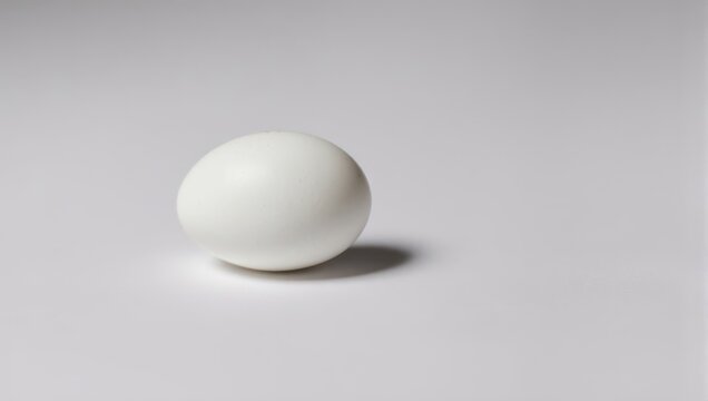 A single, white, ovular object rests on a plain, light gray surface, casting a shadow