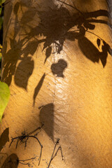 인사동 거리의 풍경 이야기