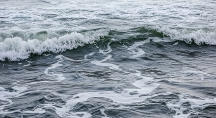 Fototapeta premium Ocean Waves: The ocean waves, a rhythmic dance of nature's power. Capturing the dynamic and calming scene of ocean waves in motion.